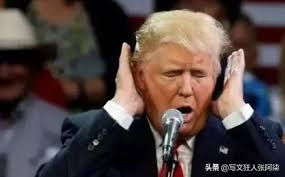 特朗普承认了 – 新闻娱乐24